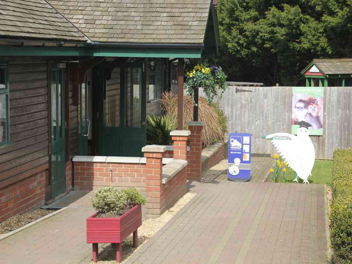 Monkey Haven picture gallery